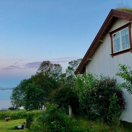 Villa House By The Sea à Sortland Extérieur photo