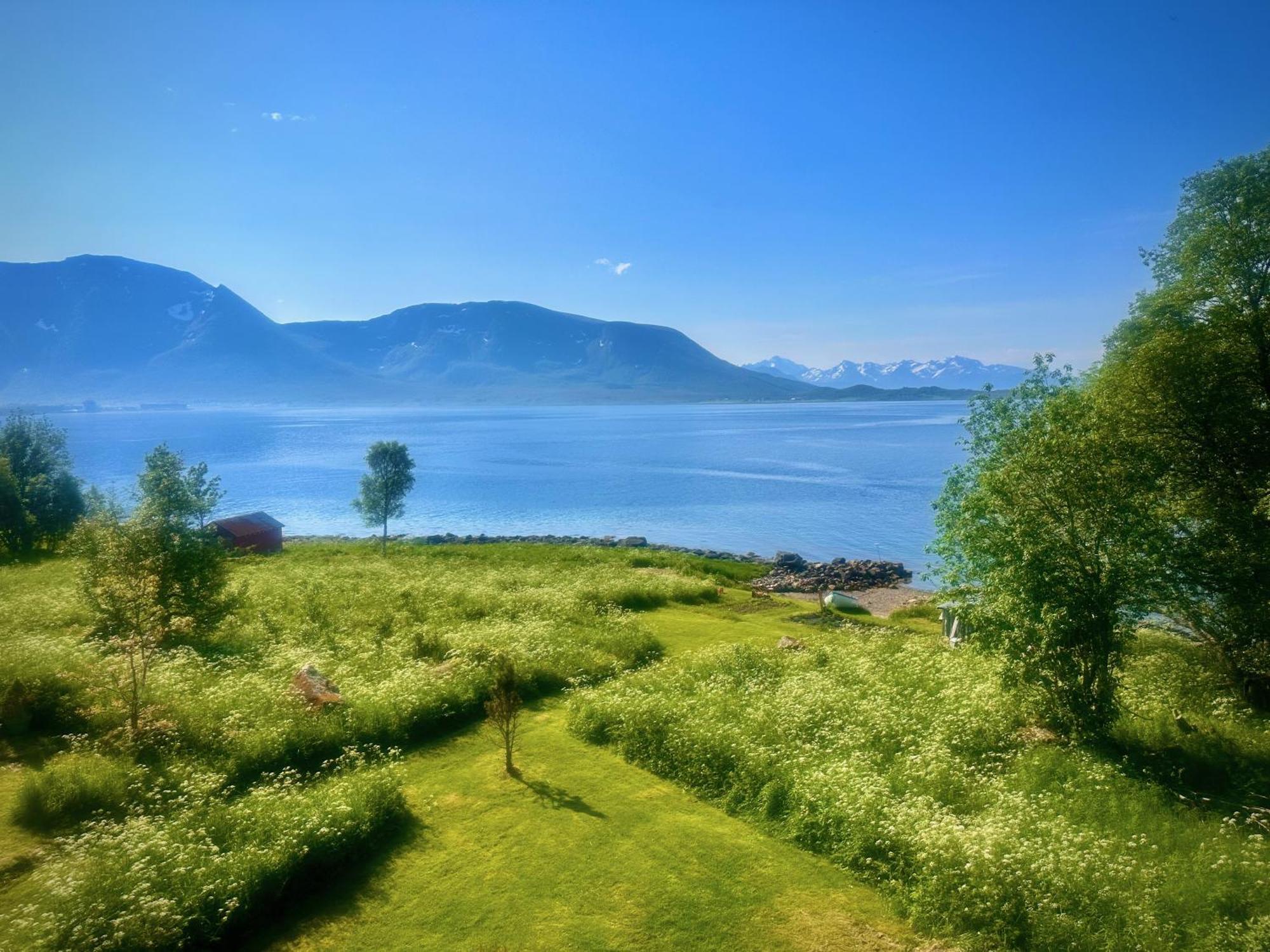 Villa House By The Sea à Sortland Extérieur photo