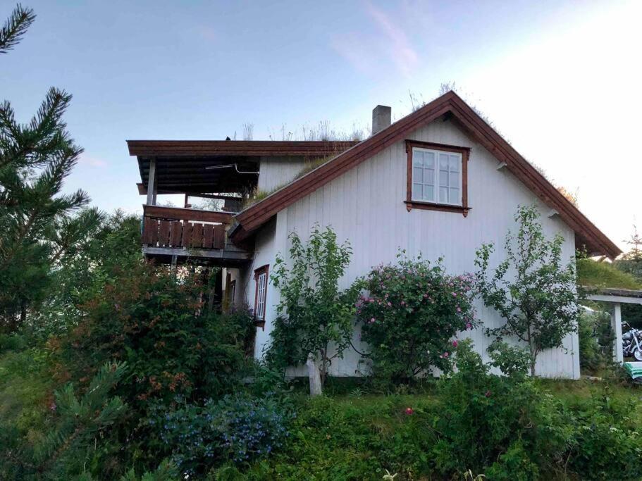 Villa House By The Sea à Sortland Extérieur photo